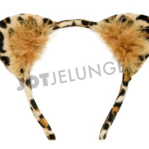 Alternative view of Haarreif, Leopard