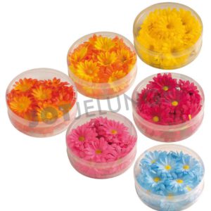 Blütenkopf, Daisy, 6 versch. Farben, 20 Stück in Box