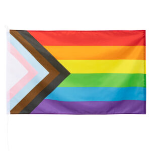 Fahne, Regenbogen, Progress, 150 x 90 cm