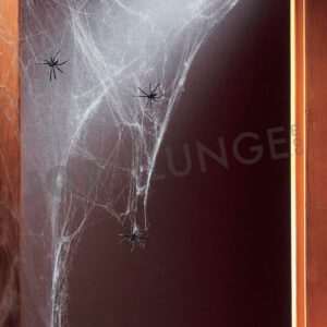 Alternative view of Spinnenweben, weiß, 500 g, mit 20 Spinnen